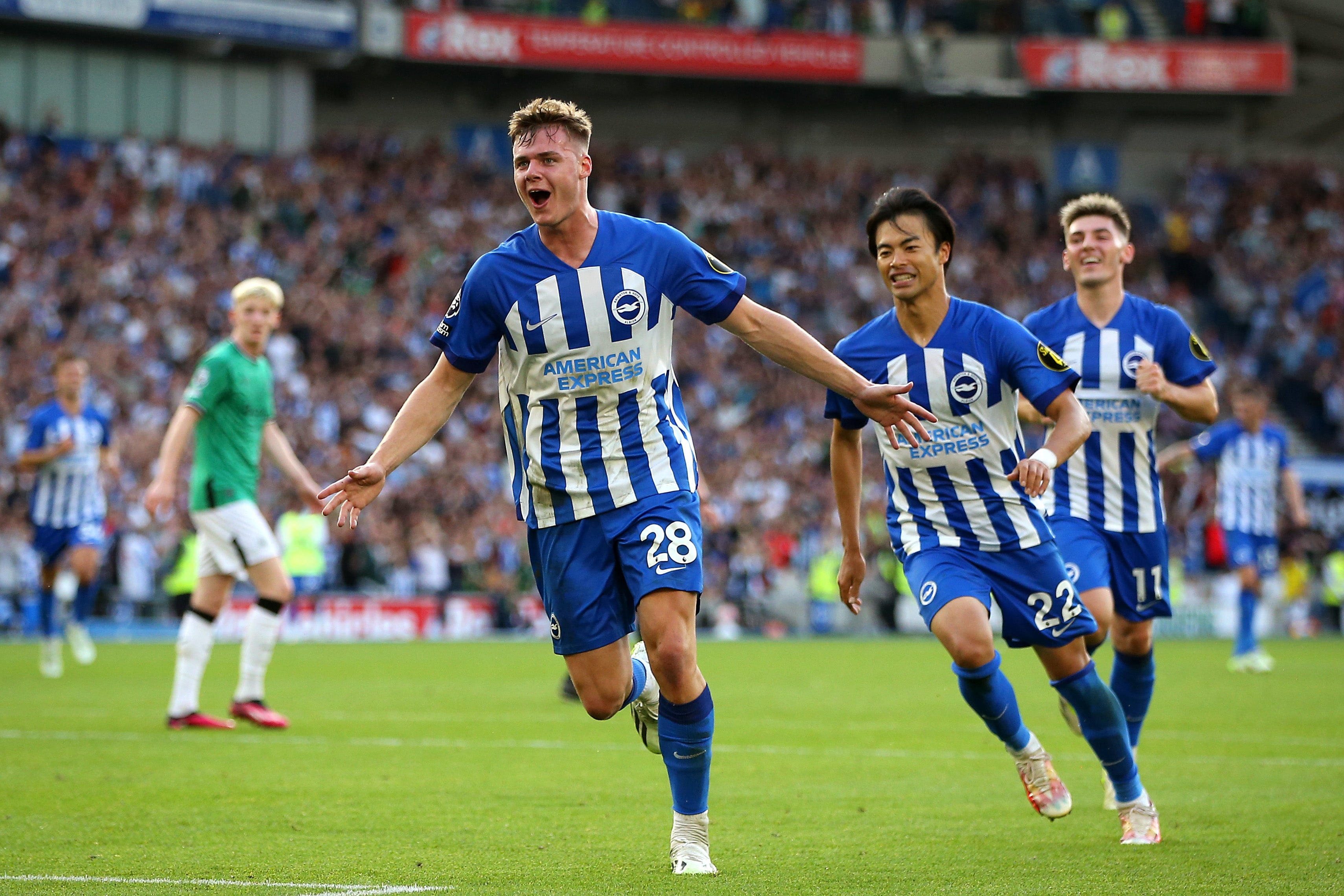 Evan Ferguson hits treble as Brighton hammer Newcastle | The Independent